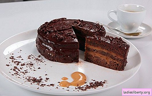 Торта "Праг" према ГОСТ-у: "биографија" и еволуција чувеног десерта. Рецепти прашке торте - према ГОСТ-у и дозвољеним одступањима од рецепта