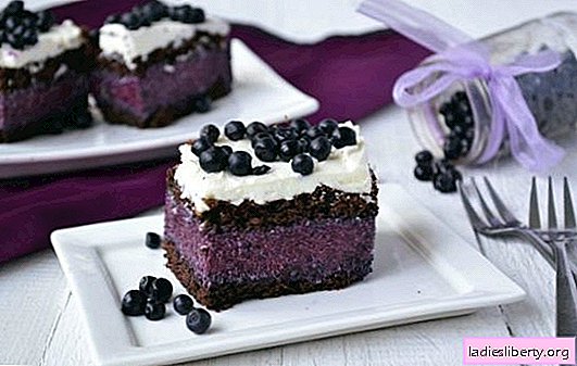 Blueberry cake is fantastic! Recipes of different cakes with blueberries: with and without baking, jelly, cottage cheese, chocolate