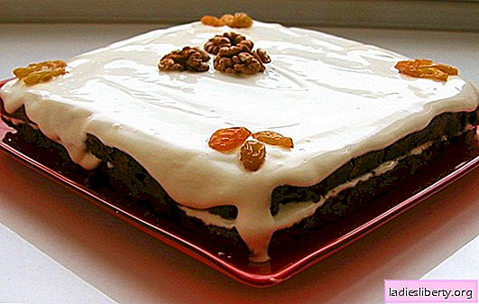 Torta s grožđicama i orasima: vrlo je jednostavna! Glavne tajne biskvitnog tijesta za tortu s grožđicama, orasima i makovim sjemenkama