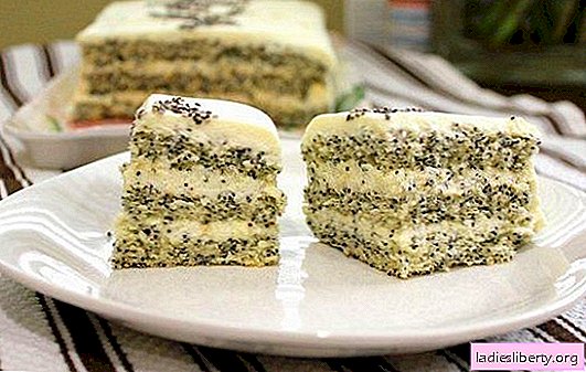 El pastel con semillas de amapola es un postre inusual e increíblemente delicioso. Recetas simples y originales de pastel de semillas de amapola