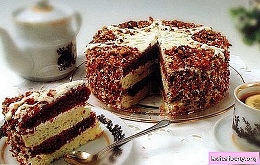 Cake with condensed milk and sour cream is a delicacy that everyone likes. Recipes for cakes with condensed milk and sour cream