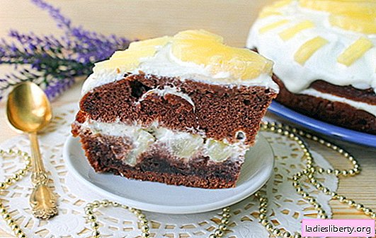 كعكة في طباخ بطيء - حلوى حساسة: وصفة مع الصور. وصف خطوة بخطوة لكعكة الطهي في طباخ بطيء: كعكة إسفنجية من الشوكولاتة