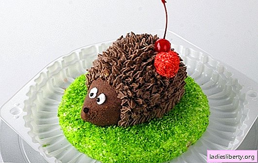Kakku "Hedgehog" houkuttelee paitsi lapsia! Leipomme ja keräämme “Hedgehog” -kakkuja erilaisilla voiteilla valmiista kakuista