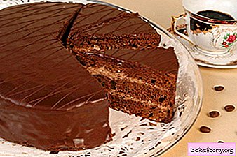 Pasteles Recetas de pasteles: Napoleón, pastel de miel, galletas, chocolate, leche de ave, crema agria ...