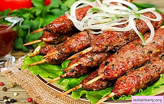 Traditional grill kebab on the grill: from what and how. Lamb, pork, chicken and potato kebab recipes