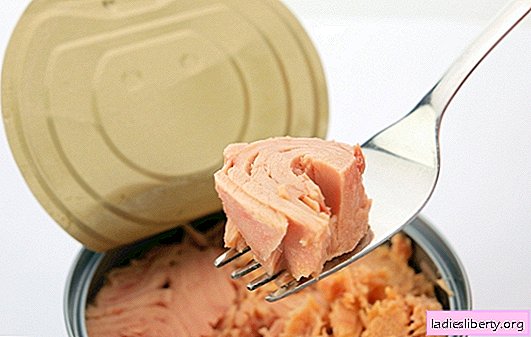 Canned tuna - the benefits and properties of the seafood. Could there be harm from canned tuna, how to choose it correctly