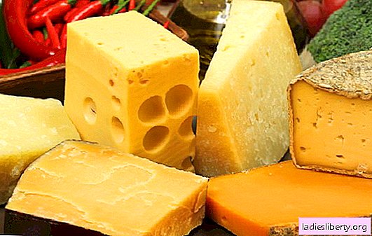 Queso duro y blando: beneficios y daños, producto lácteo alto en calorías. Información exacta sobre el queso, sus beneficios, daños y calorías.