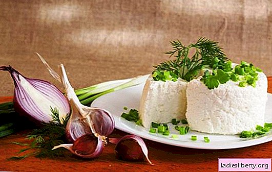 Goat milk curd is a healthy product. What dishes can be prepared using goat milk curd?