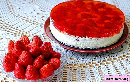 Tarta de gelatina de cuajada: ¡el mejor postre sin hornear! Recetas de vainilla, fruta, requesón de chocolate y pasteles de gelatina