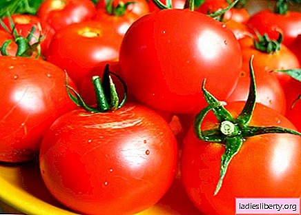 Scientists: tomatoes should not be stored in the refrigerator