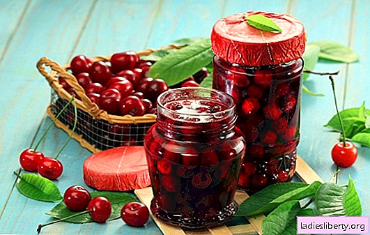 We learn to preserve cherries in our own juice in different ways. The basics of harvesting cherries in their own juice at home