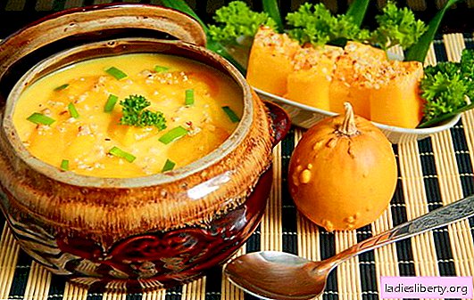 Surprise everyone with homemade pumpkin soup: fast, tasty! European recipes for pumpkin soups, fast and tasty, healthy and satisfying