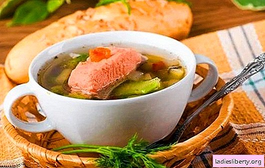 Trout ear: body benefits and flawless taste in one bowl. Best trout fish soup recipes