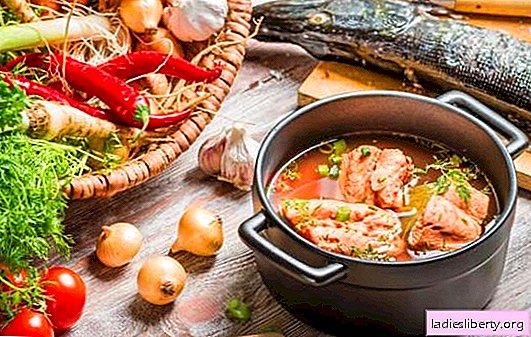 أذن سمكة حمراء - طعم ممتاز وفائدة قصوى. مجموعة مختارة من أفضل الوصفات حساء السمك الأحمر مع الدخن والطماطم والكافيار الأحمر