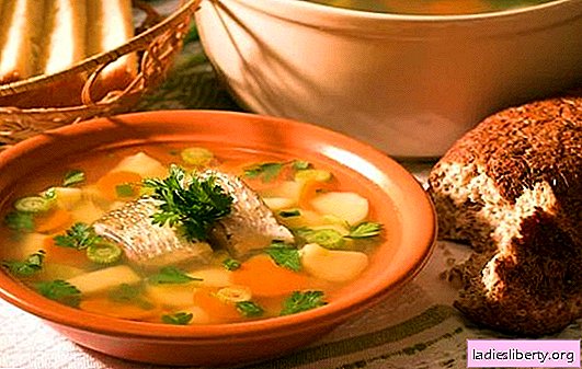 Sügérhal leves - egy finom leves otthon. Sügérfül főzése: titkok, receptek, tippek