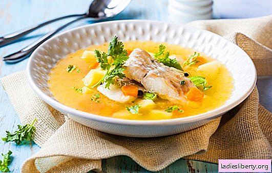 Sterlet ear - incomparable taste and aroma of fish soup. How to make a delicious sterlet ear
