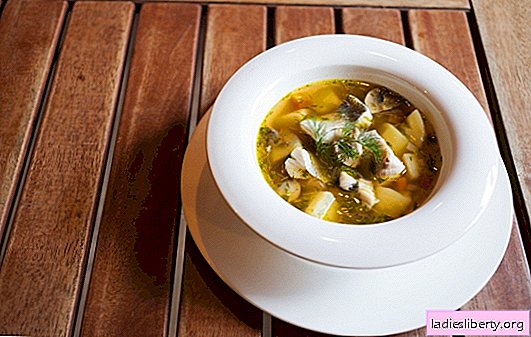 Classical fish soup - the recipe for the first dish of fish stuff and large sea fish. Recipes of classic fish soup with potatoes, vodka, spices