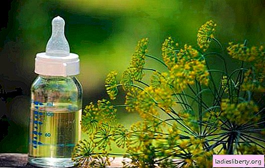 Dill voda za novorojenčke iz kolike: kakšna je njegova uporaba? Kako pripraviti kapljico iz kolik in navodila za uporabo