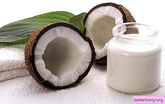 Les propriétés uniques du lait de coco: les avantages des ingrédients. Caractéristiques de l'utilisation du lait de coco et des dommages possibles