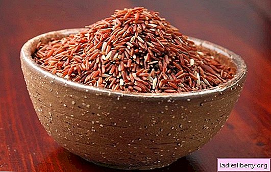 تفرد الأرز الأحمر: فوائد وقيمة الحبوب غير عادية. هل الأرز الأحمر قادر على إيذاء الجسم؟