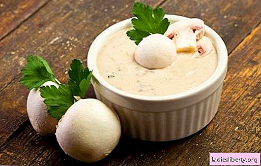 Universal gravy - aromatic mushroom sauce with sour cream. Spicy, rich, simple and complex mushroom sauces with sour cream