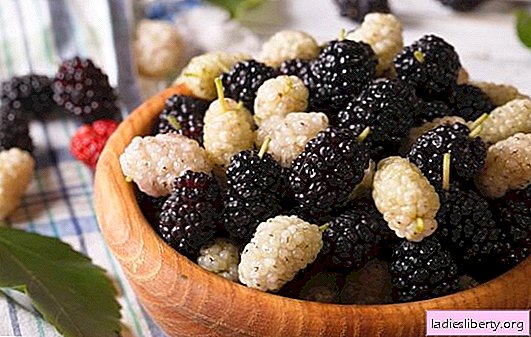 Universality of mulberry: useful properties of berries, foliage and tree bark. Mulberry-based products and contraindications