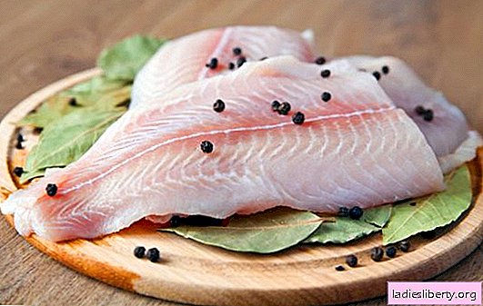 ¿Cuáles son los beneficios y los daños del pez panga? Mitos y hechos reales sobre el panga, propiedades útiles y contraindicaciones.