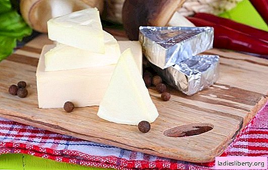 ما هو استخدام الجبن كريم؟ في أي الحالات يكون هناك ضرر من الجبن المطبوخ وكيفية اختياره واستهلاكه بشكل صحيح