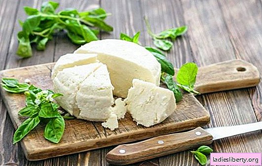 Quels sont les avantages et les inconvénients du fromage feta - fromage à la saumure. Est-il bon ou mauvais d'utiliser du fromage feta tous les jours?