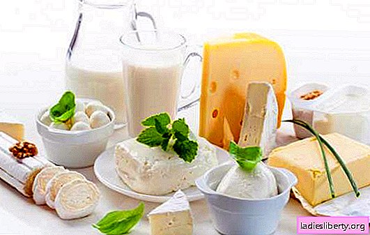 ¿Cuál es el uso de productos lácteos? ¿Hay algún daño por los productos lácteos? ¿Cómo elegirlos correctamente?