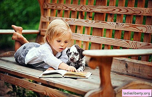 Em que idade é melhor levar um filhote: para uma criança, para criar cães puro-sangue, para treinamento especial