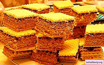 Waffle cake - the best recipes. How to make wafer cake correctly and tasty.