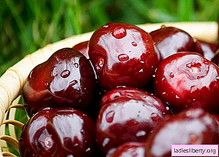 Cherry jam: how to cook cherry jam