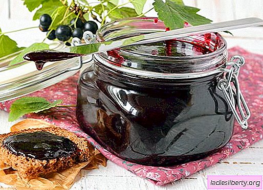 Blackcurrant jam: how to cook currant jam