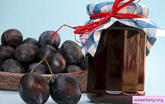 Prune jam - a delicacy with a subtle touch! Proven recipes of prune jam on the stove, in the oven and without