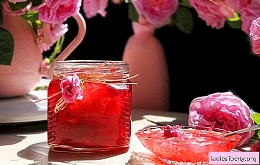 Mermelada de pétalos de rosa: cuáles son sus beneficios y posibles daños. Propiedades únicas y recetas simples de mermelada de rosas