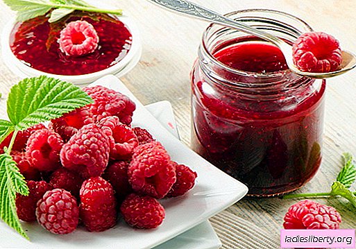 Raspberry jam: how to cook raspberry jam
