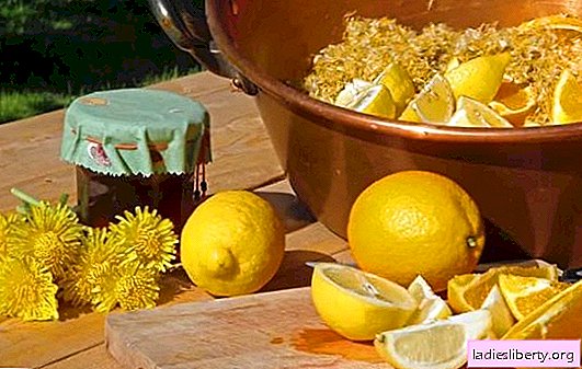 Dandelion jam with lemon - healthy sweet! Options for dandelion jam with lemon, mandarin, mint, apple, pomegranate