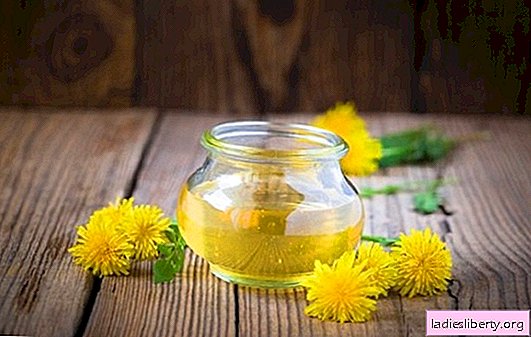 Dandelion jam: what is the use of a delicious spring dessert. Dandelion jam recipes, potential harm from it