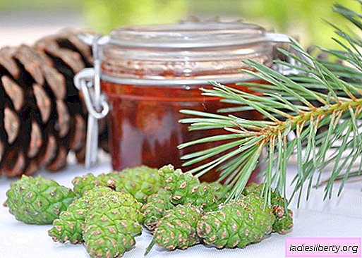 Pine cone syltetøy: hvordan lage mat