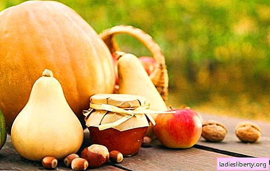 Compota de abóbora com maçãs é uma combinação incomum de gostos. Opções clássicas e exóticas para fazer geléia de abóbora com maçãs