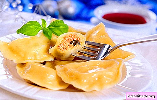 Homemade dumplings - a dish for all time. For fans of homemade dumplings: eight simple recipes with cherries, mushrooms, cottage cheese, meat