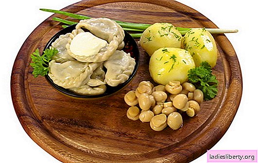 감자와 버섯 만두와 고기가없는 만두! 감자와 버섯으로 만든 가장 맛있는 만두 요리법