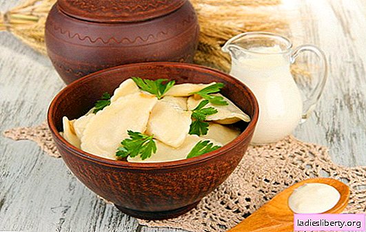 Dumplings with potatoes and cottage cheese - recipes with imagination. Features of cooking dumplings with potatoes and cottage cheese