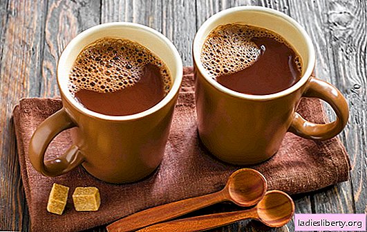 We cook cocoa - we please our home! How to cook cocoa in milk, from powder, with condensed milk, with honey, with cinnamon and marshmallows