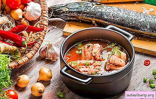 ¡Cocinar sopa de pescado es un asunto delicado! Cómo cocinar sopa de pescado de río o pescado rojo, con cebada perlada, mijo, comida enlatada, con camarones, tomates
