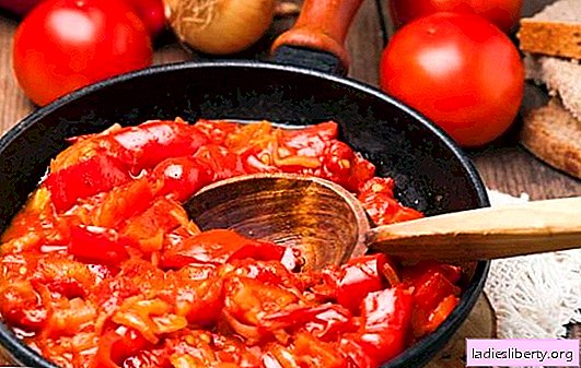 Đồ ăn nhẹ Hungary - bạo loạn của hương vị, ma thuật của màu sắc! Bí quyết ăn nhẹ Hungary làm bằng hạt tiêu, cà chua, trứng, phô mai, zucchini
