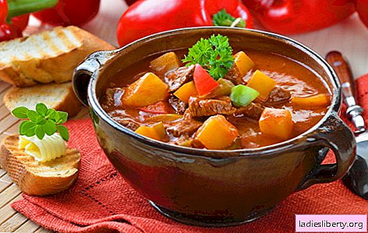 Hungarian soup - unusual, but tasty! Different recipes of Hungarian soups: with beef, fish, beans, spinach, cherries