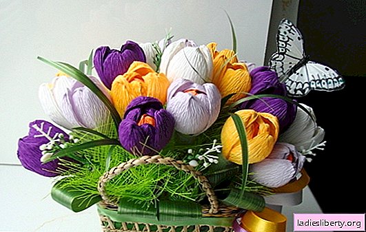 Kraftangan musim bunga DIY: gambar renda nipis yang halus. Crocus kertas dengan kejutan yang manis: kraf musim bunga