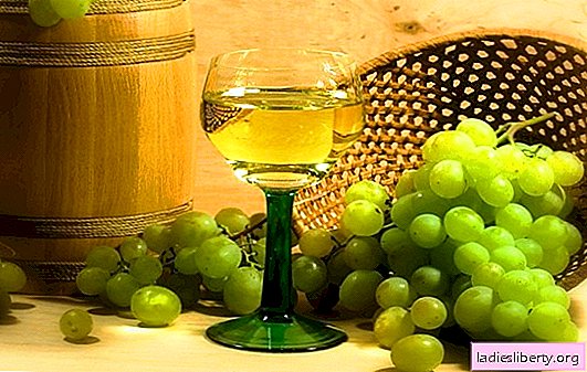 Vin de raisin blanc: les principales étapes de la préparation des vins de fruits. Les secrets de la vinification à domicile, les subtilités du vin de raisin blanc